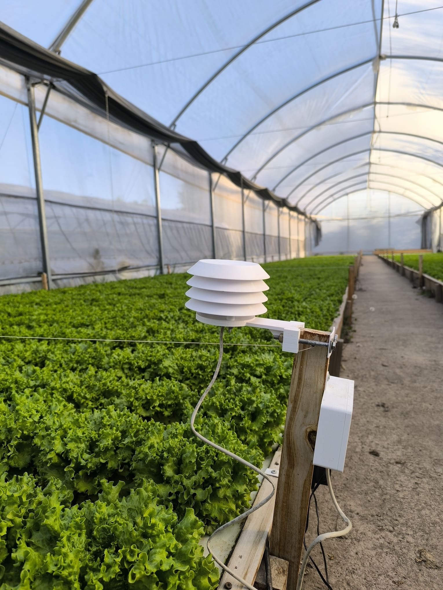 Sistema de hidroponía profesional con sensores IoT para monitoreo de cultivos de hortalizas - iotgrow