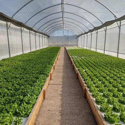 Invernadero tecnológico con sensores IoT para agricultura de precisión y automatización - iotgrow